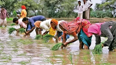 भारत में कुल बारिश में 8 प्रतिशत की बढ़त, सब्जियों की कीमतों में आ सकती है कमी